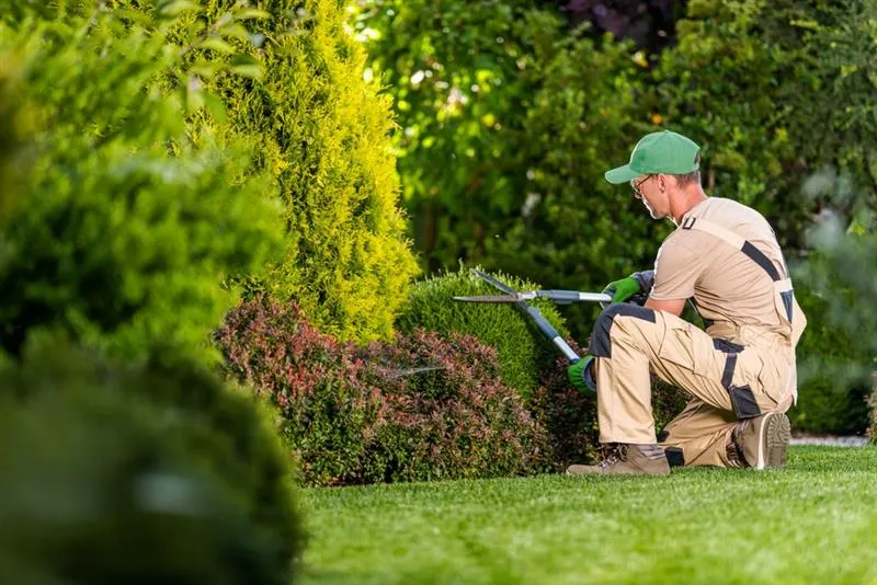 Quelles sont les opérations d’entretien d’un jardin ?