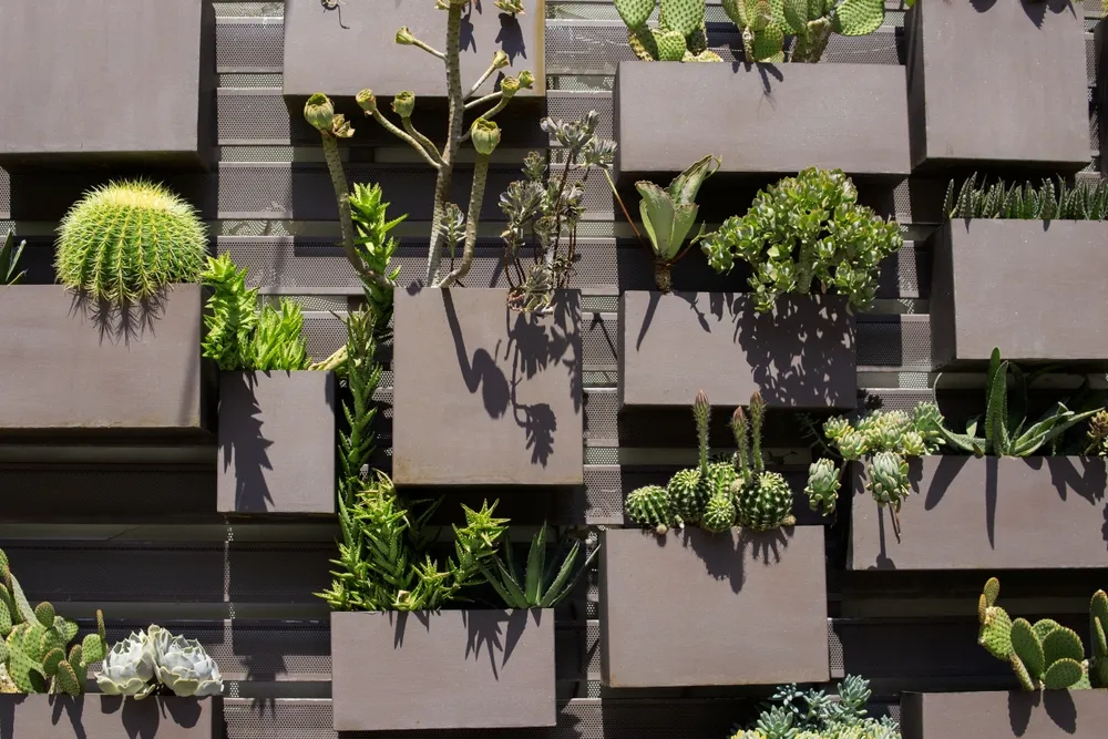 Des idées créatives pour décorer et embellir votre jardin avec un budget amical