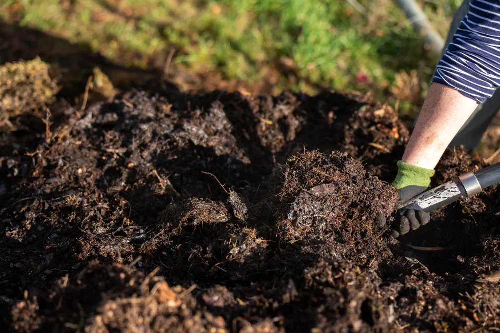 Tas de compost : les essentiels à savoir